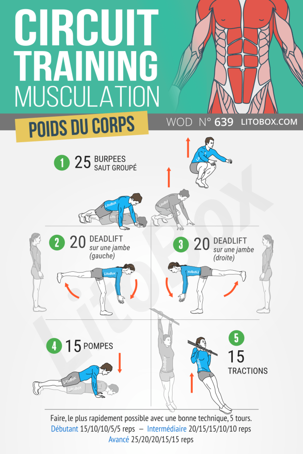 Musculation Circuit Training Avec Exercices Au Poids Du Corps